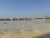 IMG_4576.jpeg