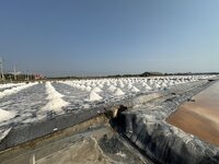 IMG_4567.jpeg