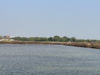 IMG_4582.jpeg