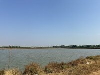 IMG_4583.jpeg