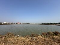 IMG_4584.jpeg
