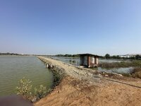 IMG_4586.jpeg