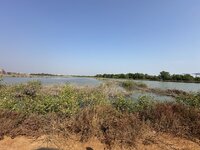 IMG_4587.jpeg