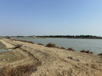 IMG_4596.jpeg