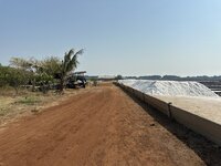 IMG_4599.jpeg