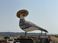 IMG_4594.jpeg