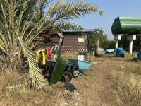 IMG_4598.jpeg
