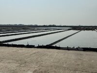 IMG_4602.jpeg