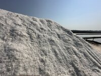 IMG_4605.jpeg