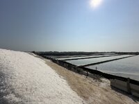 IMG_4614.jpeg