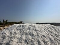 IMG_4612.jpeg
