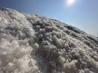 IMG_4608.jpeg