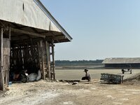 IMG_4627.jpeg