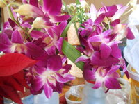 DSCN0390.JPG