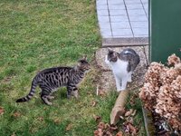 20250228_170620.jpg
