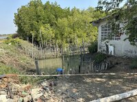 IMG_4660.jpeg