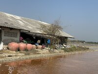 IMG_4632.jpeg