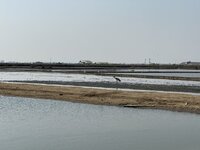 IMG_4668.jpeg