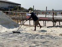 IMG_4698.jpeg
