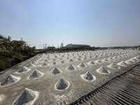 IMG_4708.jpeg