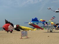 IMG_5034.jpeg
