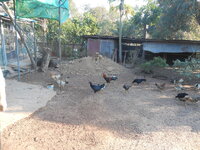 DSCN0113.JPG