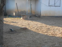 DSCN0117.JPG
