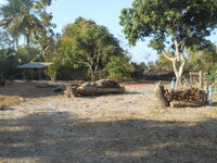 DSCN0118.JPG