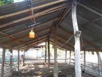 DSCN0121.JPG