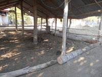 DSCN0120.JPG