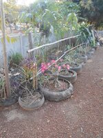 DSCN0135~2.JPG
