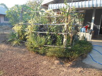 DSCN0136.JPG