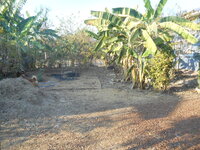 DSCN0137.JPG