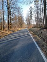 20250302_160301.jpg
