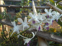 DSCN0145.JPG
