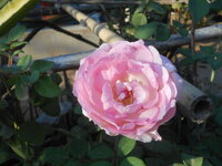 DSCN0144.JPG