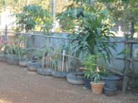 DSCN0143.JPG