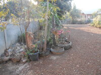 DSCN0149.JPG