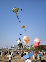 IMG_0951.jpeg