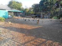 DSCN0161.JPG