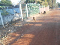 DSCN0160.JPG
