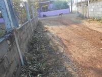 DSCN0159.JPG
