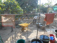 DSCN0177.JPG