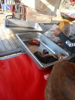 DSCN0900~2.JPG