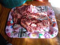 DSCN0908.JPG