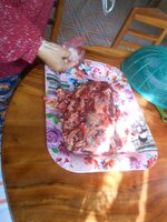 DSCN0907~2.JPG
