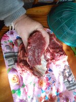DSCN0909~2.JPG