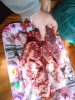 DSCN0910~2.JPG