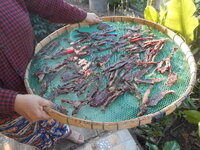 DSCN1077.JPG