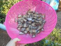DSCN1079.JPG